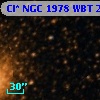Cl* NGC 1978    WBT     289
