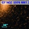 Cl* NGC 1978    WBT     290