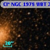 Cl* NGC 1978    WBT     291