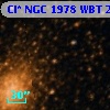 Cl* NGC 1978    WBT     294
