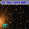 Cl* NGC 1978    WBT     297