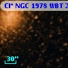 Cl* NGC 1978    WBT     298