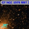 Cl* NGC 1978    WBT     299
