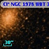 Cl* NGC 1978    WBT     300