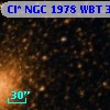 Cl* NGC 1978    WBT     302