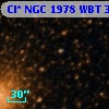 Cl* NGC 1978    WBT     303