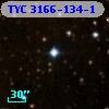 TYC 3166-134-1