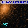 Cl* NGC 1978    WBT     304