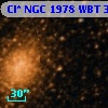 Cl* NGC 1978    WBT     305