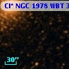 Cl* NGC 1978    WBT     309