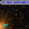 Cl* NGC 1978    WBT     310