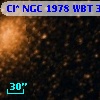 Cl* NGC 1978    WBT     311