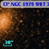 Cl* NGC 1978    WBT     313