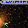 Cl* NGC 1978    WBT     315
