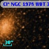 Cl* NGC 1978    WBT     317
