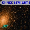 Cl* NGC 1978    WBT     319