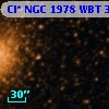 Cl* NGC 1978    WBT     322