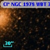 Cl* NGC 1978    WBT     325