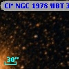 Cl* NGC 1978    WBT     329
