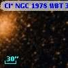 Cl* NGC 1978    WBT     331
