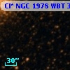 Cl* NGC 1978    WBT     334
