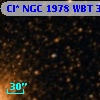 Cl* NGC 1978    WBT     337