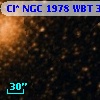 Cl* NGC 1978    WBT     341