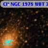 Cl* NGC 1978    WBT     344