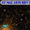 Cl* NGC 1978    WBT     347