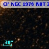 Cl* NGC 1978    WBT     348