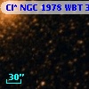 Cl* NGC 1978    WBT     349