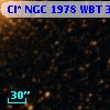 Cl* NGC 1978    WBT     351