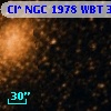 Cl* NGC 1978    WBT     354