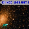 Cl* NGC 1978    WBT     355