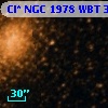 Cl* NGC 1978    WBT     358