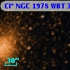 Cl* NGC 1978    WBT     361