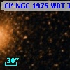Cl* NGC 1978    WBT     362
