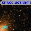 Cl* NGC 1978    WBT     365