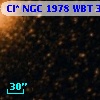 Cl* NGC 1978    WBT     367