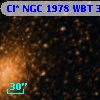 Cl* NGC 1978    WBT     369