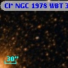 Cl* NGC 1978    WBT     371