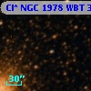 Cl* NGC 1978    WBT     374