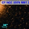Cl* NGC 1978    WBT     375