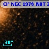 Cl* NGC 1978    WBT     377