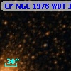 Cl* NGC 1978    WBT     378