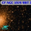 Cl* NGC 1978    WBT     379