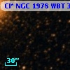 Cl* NGC 1978    WBT     381