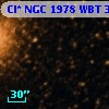Cl* NGC 1978    WBT     384
