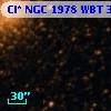 Cl* NGC 1978    WBT     387