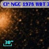 Cl* NGC 1978    WBT     392